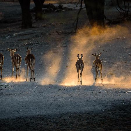 Gabus Safari Lodge Otavi 외부 사진