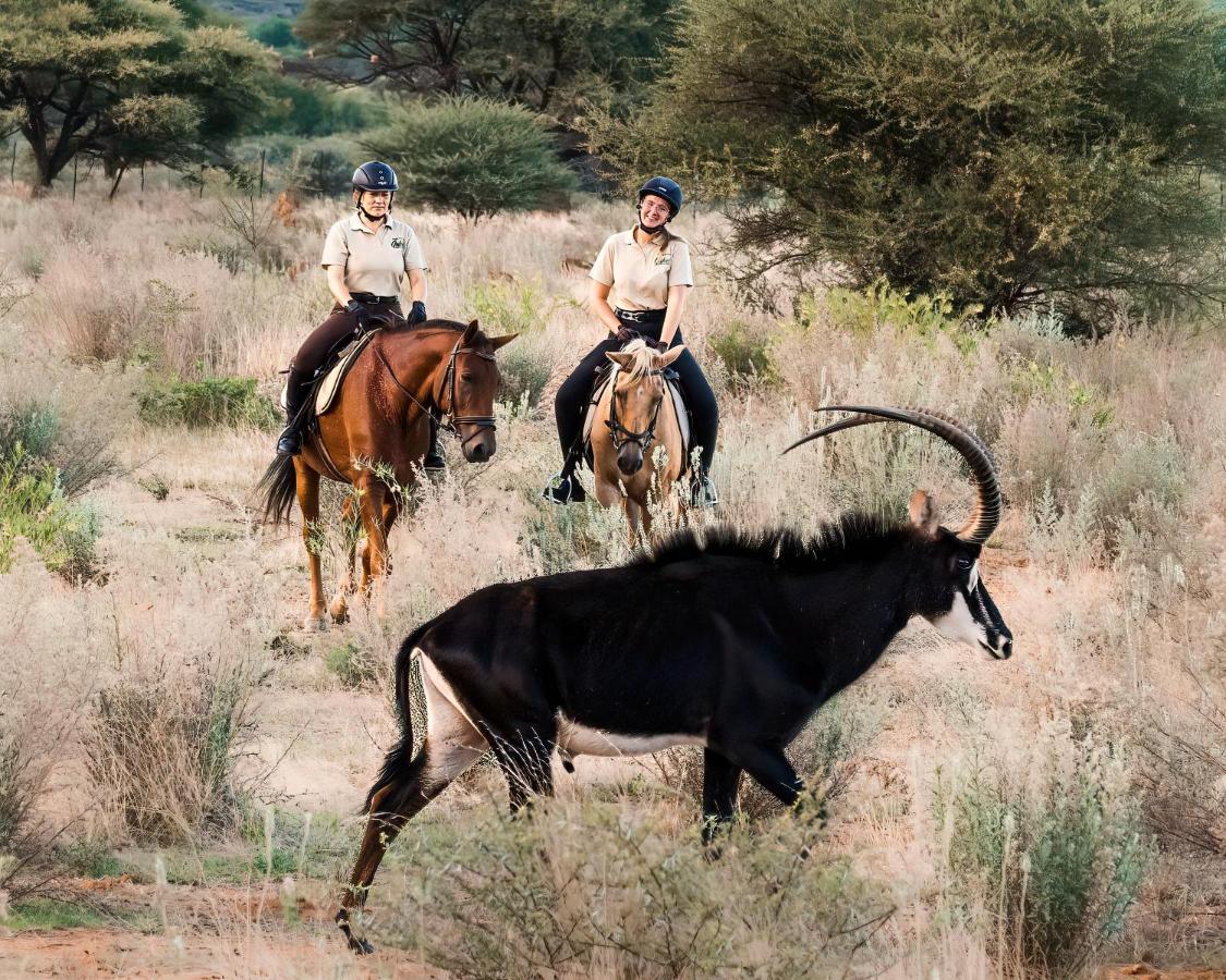 Gabus Safari Lodge Otavi 외부 사진
