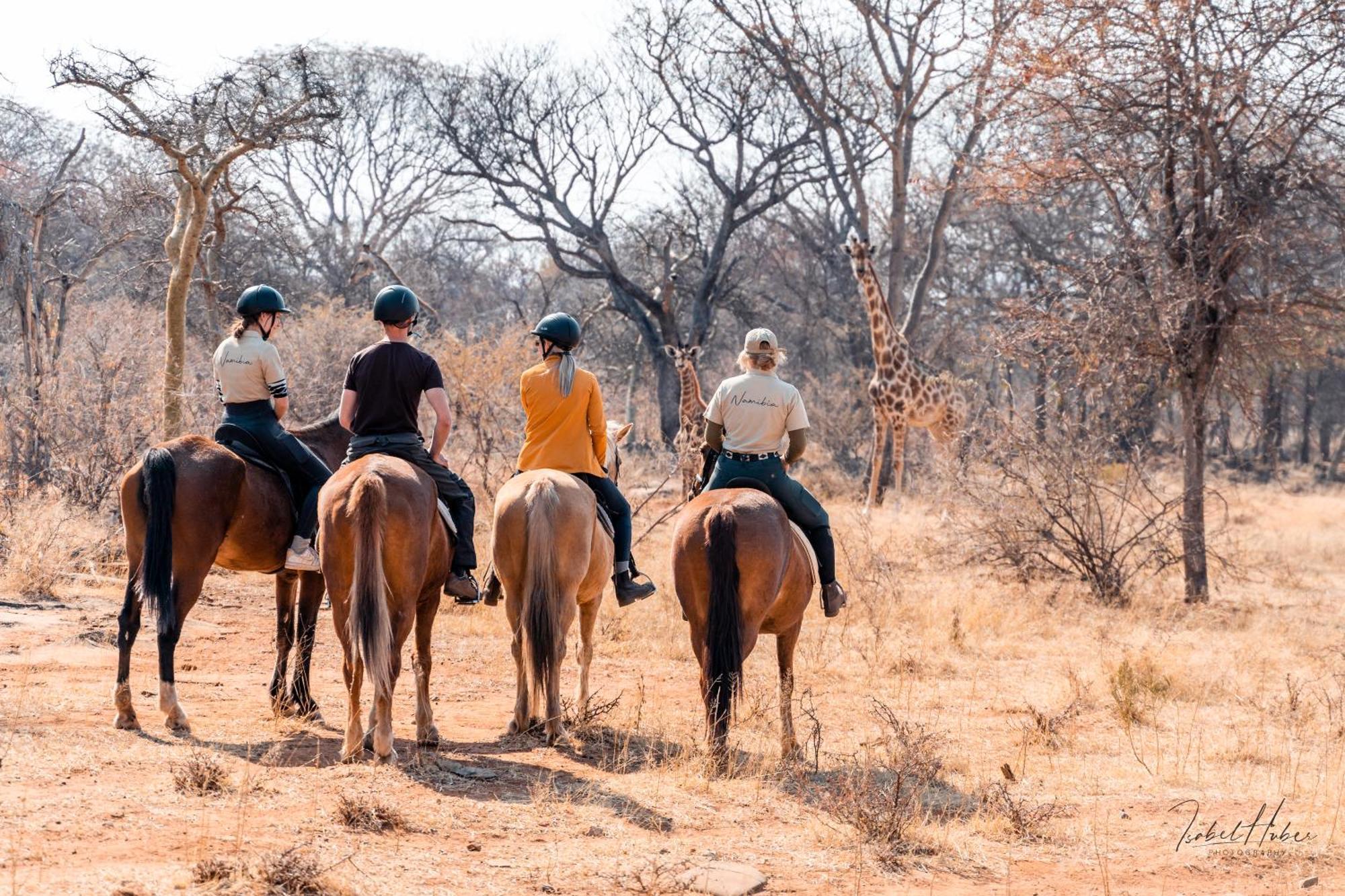 Gabus Safari Lodge Otavi 외부 사진